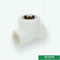 มีจำหน่าย Technics White Ppr Pipe Accessories Fittings Female Threaded Tee Size Iso9001