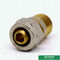 16mm Pex Pipe CW617N อุปกรณ์บีบอัดทองเหลืองชาย Threaded