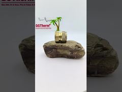 ข้อต่อตัวเมียท่อ PEX ทองเหลืองสำหรับท่อ SS