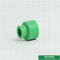 PPR Pipe Fittings PPR Coupling PPR Socket ISO9001 DIN8077 / 8078 สี OEM ขนาด 20-160mm